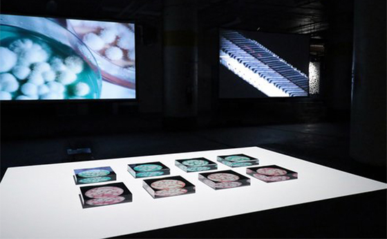 SonoSynthesis (2022), Yoko Shimizu and Ali Nikrang, BioBAT Art Space, Tides of Light.