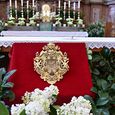 Reliquie des heiligen Florian