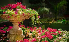 Der Garten, eine Beziehungsgeschichte