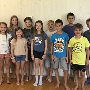 Minis in Gallneukirchen